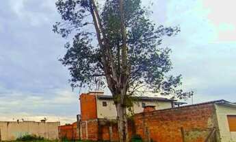 Imagem 4: Terreno Plano de 374m² para Locação na Avenida Coronel Atalíbio Taurino de Rezende Bairro