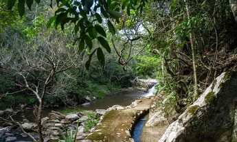 Imagem 6: Lindo Sítio 5,5Hec, 55.000m2, Sede 3 Suítes, Muita Água, Zona Rural - Taquaraçu de Minas