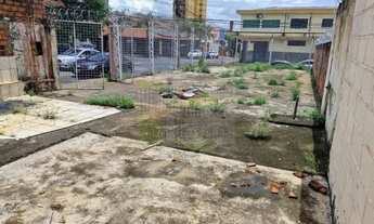 Imagem 2: Terreno - Ribeirão Preto - Campos Eliseos