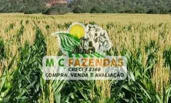 Imagem 7: Fazenda c/ 295 Tarefas à Venda em Jeremoabo - BA