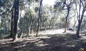 Imagem 3: Área de terras com vista deslumbrante para o vale e montanhas. Linha Imperial. REF: 242