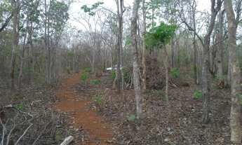 Imagem: Lote em Felixlândia
