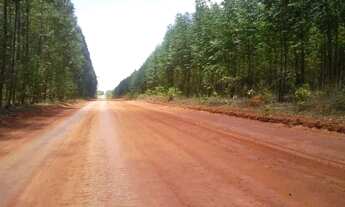 Imagem 5: Lote em Felixlândia