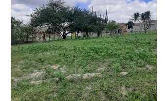 Imagem: Vendo lote, setor de massoes do amanhecer