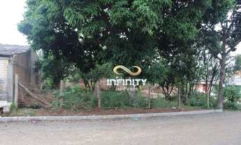 Imagem 6: Terreno Residencial à venda, São Vicente, Gravataí - TE0194