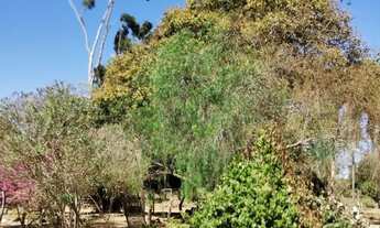 Imagem 6: FAZENDA 33 ALQ À BEIRA DO RIO CLARO - COLINAS/GO