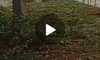 Imagem: Lote 400² com base pronta vivendas do vale