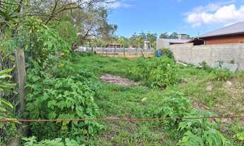 Imagem 5: Imóvel para venda com 300 metros quadrados em São João do Rio Vermelho - Florianópolis - S