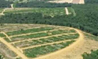 Imagem 2: Excelente terrenos p/ Chácaras de fundos para o Rio Negro