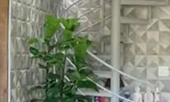 Imagem 4: Apartamento 3 quartos, sendo 1 suíte