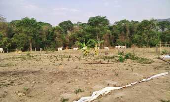 Imagem 5: Chácara 4.000m², à 8km de Jaranápolis-Go, 55 km de Anápolis