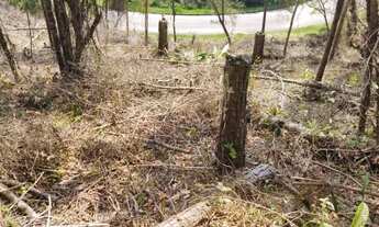 Imagem 5: Terreno à venda, 1500 m² por R$ 1.915.000,00 - João Paulo - Florianópolis/SC