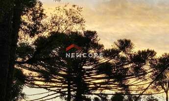 Imagem 5: Lote em condomínio em Rua 6 lote L14 - Bosque sinoserra - Canela/RS