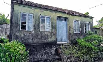 Imagem 4: Propriedade com 20Ha com 4,5Ha com pessegueiros e casa centenária na Cascata