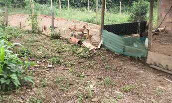 Imagem 7: Vendo ou troco uma chácara completa