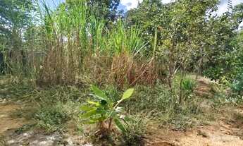 Imagem 3: Chácara 1000mt Chácara com venda por R$20.000