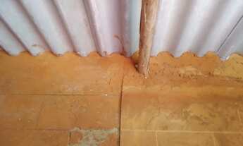 Imagem 5: Alugo dois cômodos básicos e Popular tudo incluso