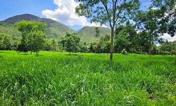 Imagem 5: FAZENDA COM RIO E MUITA ÁGUA