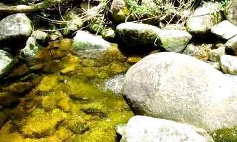 Imagem 4: TERESÓPOLIS LUXUOSA PROPRIEDADE 5700M² ACESSO DIRETO À CACHOEIRA E PARQUE NACIONAL 10 SUÍT