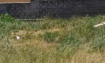 Imagem 3: EXCELENTE TERRENO ( CONDOMINIO VIVERDE 1