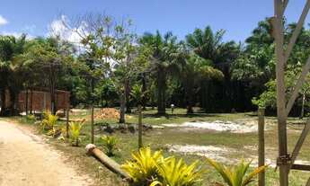 Imagem 5: Lotes Condomínio Leão Marinho em Ilhéus