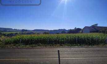 Imagem 7: Terreno Rio Bonito do Iguaçu