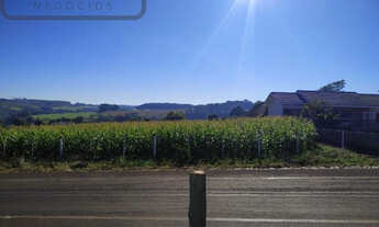 Imagem 4: Terreno Rio Bonito do Iguaçu