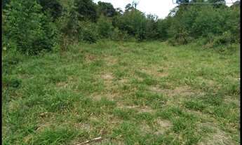 Imagem 4: CHÁCARA  SEM BENFEITORAIS -ROCINHA - GUARATINGUETÁ  SP