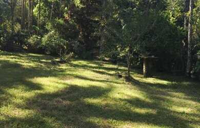 Imagem 6: Terreno para Venda em Blumenau, Salto do Norte