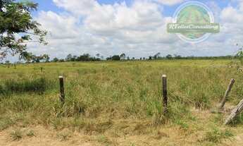 Imagem 7: Fazenda à venda no bairro Centro - 2100 ha Goianésia do Pará/PA