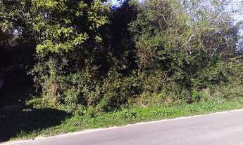 Imagem 2: VENDO CHÁCARA DE FRENTE PARA O ASFALTO EM GLORINHA