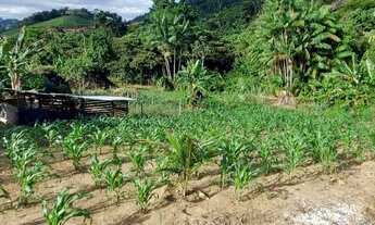 Imagem 5: Vendo sítio em Ibiraçu