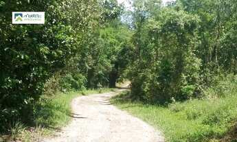 Imagem 4: Chácara à venda em Morretes/PR