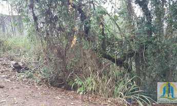 Imagem 7: Terreno à Venda - Jandira/SP