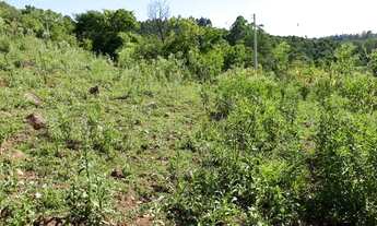 Imagem 4: Sítio "Urbano" em Nova Hartz direto