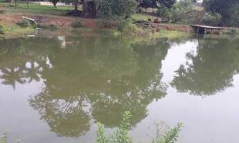 Imagem 3: Fazenda 23 alqueires em Caturai-Go