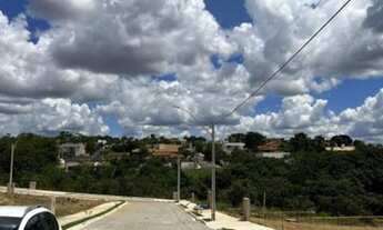 Imagem 4: Lote Jardim Botânico - Escriturado - 510 m²