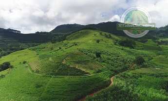 Imagem 7: Vendo fazenda produtora de Cafés e culturas orgânicas em Carmo de Minas MG