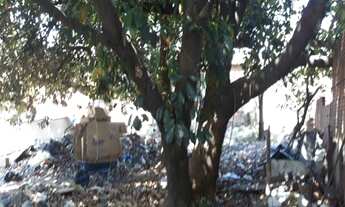 Imagem 2: Terreno - Vila Perseu Leite de Barros - Campinas