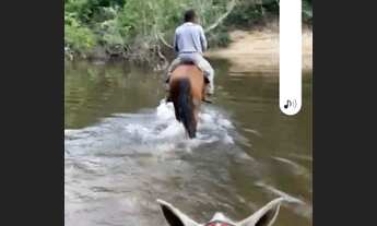 Imagem 5: Vende se terra cel