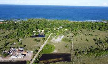 Imagem: Terreno com 2.500m² - Península de Maraú