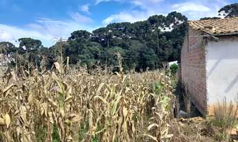 Imagem 5: Excelente Chacra com 2.500 m2 Campina taguara 250.000.00