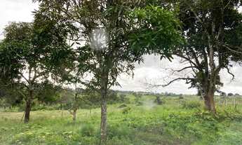 Imagem 4: Vendo sítio Fazenda / sítio com venda por R$175.000