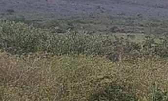 Imagem: Vendo fazenda