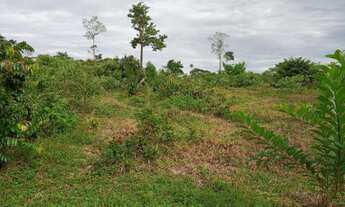 Imagem 4: Vende se chácara