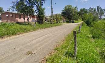 Imagem 3: VENDO CHÁCARA UM HECTARE COM RIACHO EM GLORINHA