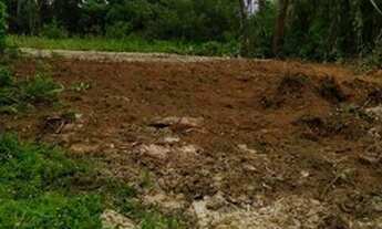 Imagem 6: Terreno à venda em Morretes/PR