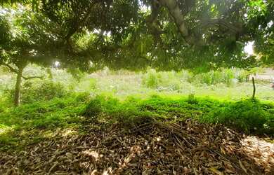 Imagem 4: Fazenda para venda. Com 9.950.000m² - casa sede com 5 quartos