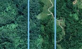 Imagem: Terreno para sítio em Timbó