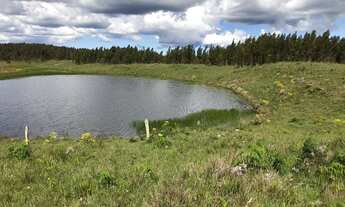 Imagem 2: VENDO ÁREA DE TERRA COM 41,5 HECTARES EM JAQUIRANA